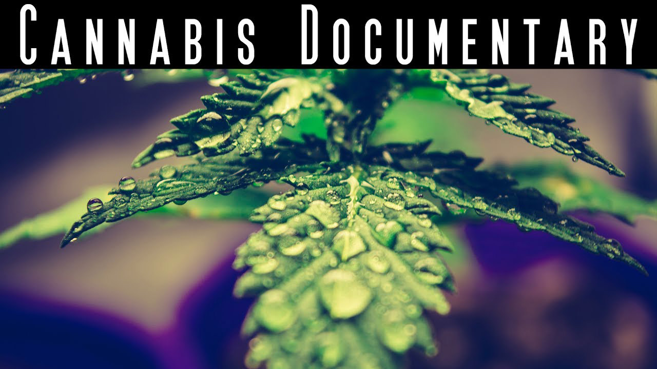 Documentary on uses and benefits of medical Marijuana
